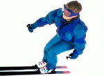 ski